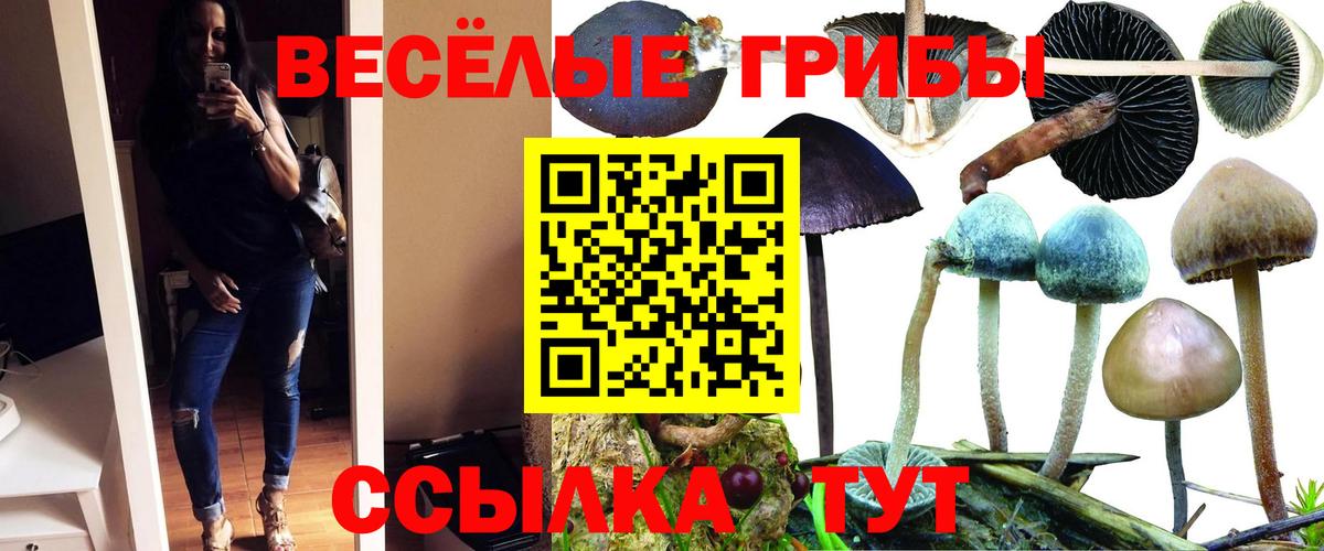 Волжск  Галлюциногенные грибы Magic Shrooms  Вход с VPN 