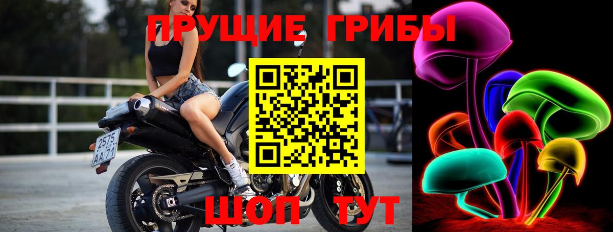 Псилоцибиновые грибы Cubensis Волжск